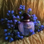 عطر ادکلن پیور پویزن دیور - Pure Poison Dior - بررسی، قیمت و خرید