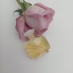 عطر ادکلن بیوتیفول استی لودر - Beautiful Estée Lauder - بررسی، قیمت و خرید