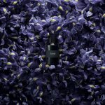 عطر ادکلن آیریس پالیدا ماری ژان - Iris Pallida Marie Jeanne - بررسی، قیمت و خرید