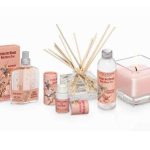 عطر ادکلن وایلد چری تری ادو تویلت لوکسی تان - Wild Cherry Tree Eau de Toilette L'Occitane en Provence - بررسی، قیمت و خرید