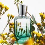 عطر ادکلن پروود اند عثمانتوس بایتون - Pearwood & Osmanthus 梨木桂花 Boitown 冰希黎 - بررسی، قیمت و خرید