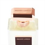 عطر ادکلن سانتال فوی پِراسُدی لاندِن - Santal Foy Prosody London - بررسی، قیمت و خرید