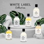 عطر ادکلن وایلانت مودون - Vaillant Moudon - بررسی، قیمت و خرید