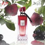 عطر ادکلن بورگاندی فوربیدن زون پیپر پرزنتد 叠纸心意 - Burgundy Forbidden Zone 勃艮第禁区 Paper Presented 叠纸心意 - بررسی، قیمت و خرید
