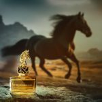 عطر ادکلن این د نُوِر لَند آرورا سنتس - In The Nowhere Land Aurora Scents - بررسی، قیمت و خرید