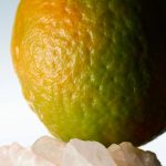 عطر ادکلن میستیک ماس دِریز وَن نوتِن - Mystic Moss Dries Van Noten - بررسی، قیمت و خرید