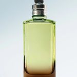عطر ادکلن میستیک ماس دِریز وَن نوتِن - Mystic Moss Dries Van Noten - بررسی، قیمت و خرید