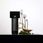 عطر ادکلن شای داکیومنتس - Shy DOCUMENTS - بررسی، قیمت و خرید