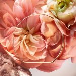 عطر ادکلن ابسولو ۱۰۰۱ روزز لنکوم - Absolue 1001 Roses Lancôme - بررسی، قیمت و خرید