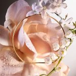 عطر ادکلن ابسولوت ۶ ای‌ام رز لانکوم - Absolue 6AM Rose Lancôme - بررسی، قیمت و خرید