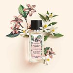 عطر ادکلن تَندِرز اِنستَنتس ایوروشه - Tendres Instants Yves Rocher - بررسی، قیمت و خرید
