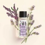 عطر ادکلن کالم ابسولو ایو روشه - Calme Absolu Yves Rocher - بررسی، قیمت و خرید