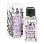 عطر ادکلن کالم ابسولو ایو روشه - Calme Absolu Yves Rocher - بررسی، قیمت و خرید
