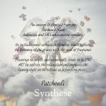 عطر ادکلن پاچولی سنتز اتلیه دو پارفوم - Patchouli Synthèse Atelier de Parfum - بررسی، قیمت و خرید