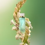 عطر ادکلن اسنشل سنتیر ناتورا - Essencial Sentir Natura - بررسی، قیمت و خرید