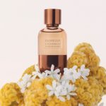 عطر ادکلن سوگنو نوتورنو برونلو کوچینلی - Sogno Notturno Brunello Cucinelli - بررسی، قیمت و خرید