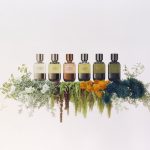 عطر ادکلن ونتو آردنته برونلو کوچینلی - Vento Ardente Brunello Cucinelli - بررسی، قیمت و خرید