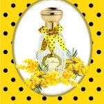 عطر ادکلن لمیموزا گوتال - Le Mimosa Goutal - بررسی، قیمت و خرید