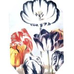 عطر ادکلن پرینت کالکشن استلا ۰۲ (۲۰۱۱) استلا مک‌کارتنی - Print Collection Stella 02 (2011) Stella McCartney - بررسی، قیمت و خرید