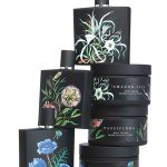 عطر ادکلن آمازون لیلی نست - Amazon Lily Nest - بررسی، قیمت و خرید