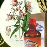 عطر ادکلن بالسِمین فراگریفرت پارفومر - Balsemien Fragrifert Parfumeur - بررسی، قیمت و خرید