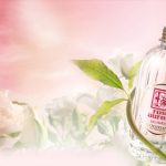 عطر ادکلن رز اورور او فرش لوکسیتان - Rose Aurore Eau Fraiche L'Occitane en Provence - بررسی، قیمت و خرید