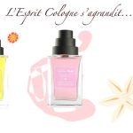 عطر ادکلن وایت زاگورا د دیفرنت کامپنی - White Zagora The Different Company - بررسی، قیمت و خرید
