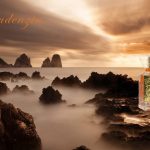 عطر ادکلن پروادنزیا پروودنس پاریس - Prudenzia Prudence Paris - بررسی، قیمت و خرید