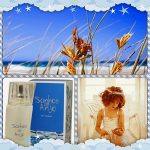عطر ادکلن سونوس د آنجو جولی بورک پرفیومز - Sonhos de Anjo Julie Burk Perfumes - بررسی، قیمت و خرید