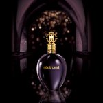 عطر ادکلن اود القصر روبرتو کاوالی - Oud al Qasr Roberto Cavalli - بررسی، قیمت و خرید