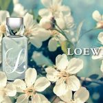 عطر ادکلن لوو ال کول لوه - Loewe L Cool Loewe - بررسی، قیمت و خرید