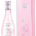 عطر ادکلن کول واتر تندر سی رز داویدوف - Cool Water Tender Sea Rose Davidoff - بررسی، قیمت و خرید