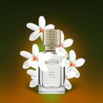 عطر ادکلن جاسمین فو اِکس نیهیلو - Jasmin Fauve Ex Nihilo - بررسی، قیمت و خرید