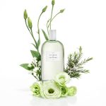 عطر ادکلن شماره سه ویکتوریا اند لوچینو - Nº 3 Victorio & Lucchino - بررسی، قیمت و خرید