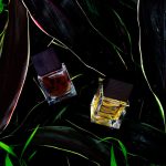 عطر ادکلن ساسورا دی سر - Sasora DI SER - بررسی، قیمت و خرید