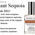 عطر ادکلن جایِنت سِکویا دمتر فراگرنس - Giant Sequoia Demeter Fragrance - بررسی، قیمت و خرید