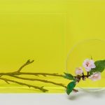 عطر ادکلن ایر فانتازیا لووه - Aire Fantasía Loewe - بررسی، قیمت و خرید