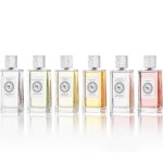 عطر ادکلن سیترون نوآر لوکسیتان - Citron Noir L'Occitane en Provence - بررسی، قیمت و خرید