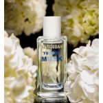 عطر ادکلن تندر ماسک المصباح - Tender Musk Al Musbah - بررسی، قیمت و خرید