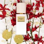 عطر ادکلن تمپرنسیا مموآیز لاندن - Temperantia Memoize London - بررسی، قیمت و خرید