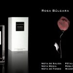 عطر ادکلن رزا بلغارا زارا - Rosa Bulgara Zara - بررسی، قیمت و خرید