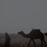 عطر ادکلن اَ مَن آو شَدو ناشک - A Man of Shadow NSHQ - بررسی، قیمت و خرید
