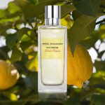 عطر ادکلن او فرش سیتروس پوملو انجل شلسر - Eau Fraîche Citrus Pomelo Angel Schlesser - بررسی، قیمت و خرید
