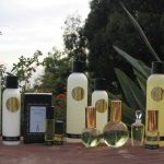 عطر ادکلن پرفکت هوپ سارا هوروویتز پَرفیومز - Perfect Hope Sarah Horowitz Parfums - بررسی، قیمت و خرید