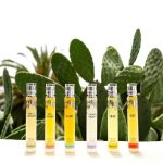 عطر ادکلن لاوندر مگنولیا ادِنز گاردِن - Lavender Magnolia Edens Garden - بررسی، قیمت و خرید