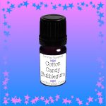 عطر ادکلن کاتن کندی بابل گام اندورومداز کرز - Cotton Candy Bubble Gum Andromeda's Curse - بررسی، قیمت و خرید