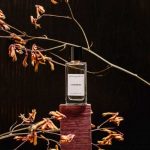 عطر ادکلن کشمر استفانی دو بروین - پرفیوم سر مسور - Cashmere Stéphanie de Bruijn - Parfum sur Mesure - بررسی، قیمت و خرید