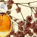 عطر ادکلن دوژو آیونا - Dojo Ayuna - بررسی، قیمت و خرید