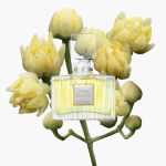 عطر ادکلن د جینزا شیسیدو - The Ginza Shiseido - بررسی، قیمت و خرید