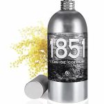 عطر ادکلن میموسا لو دوکسیس - Mimosa L'Eau De Cassis - بررسی، قیمت و خرید
